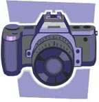 hier sieht man dann Ihr Bild